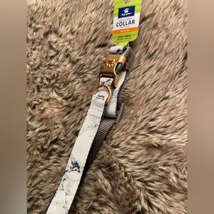 🧡 Top Paw Dog Collar - Medium (14-20 inches)